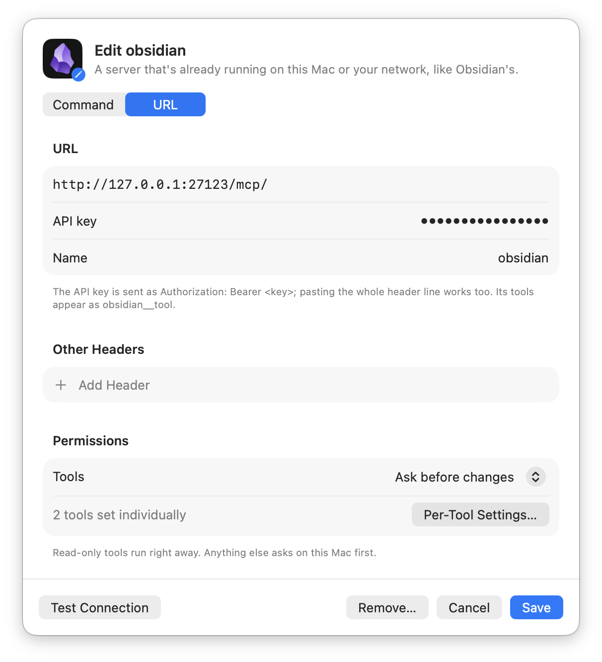 The server editor with a local URL and an API key field.